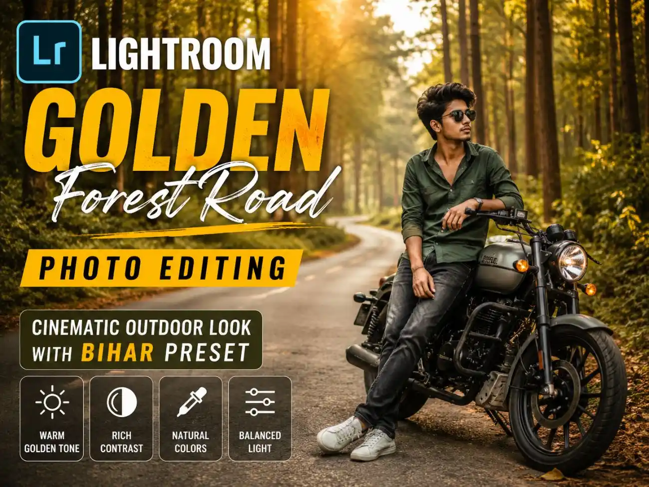 Golden Forest Road Photo Editing